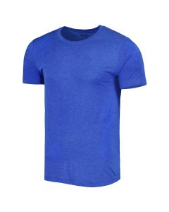 Men's Ahead Royal Valspar Championship Snake Pit Tri-Blend T-Shirt All Size Available