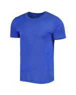 Men's Ahead Royal Valspar Championship Snake Pit Tri-Blend T-Shirt All Size Available